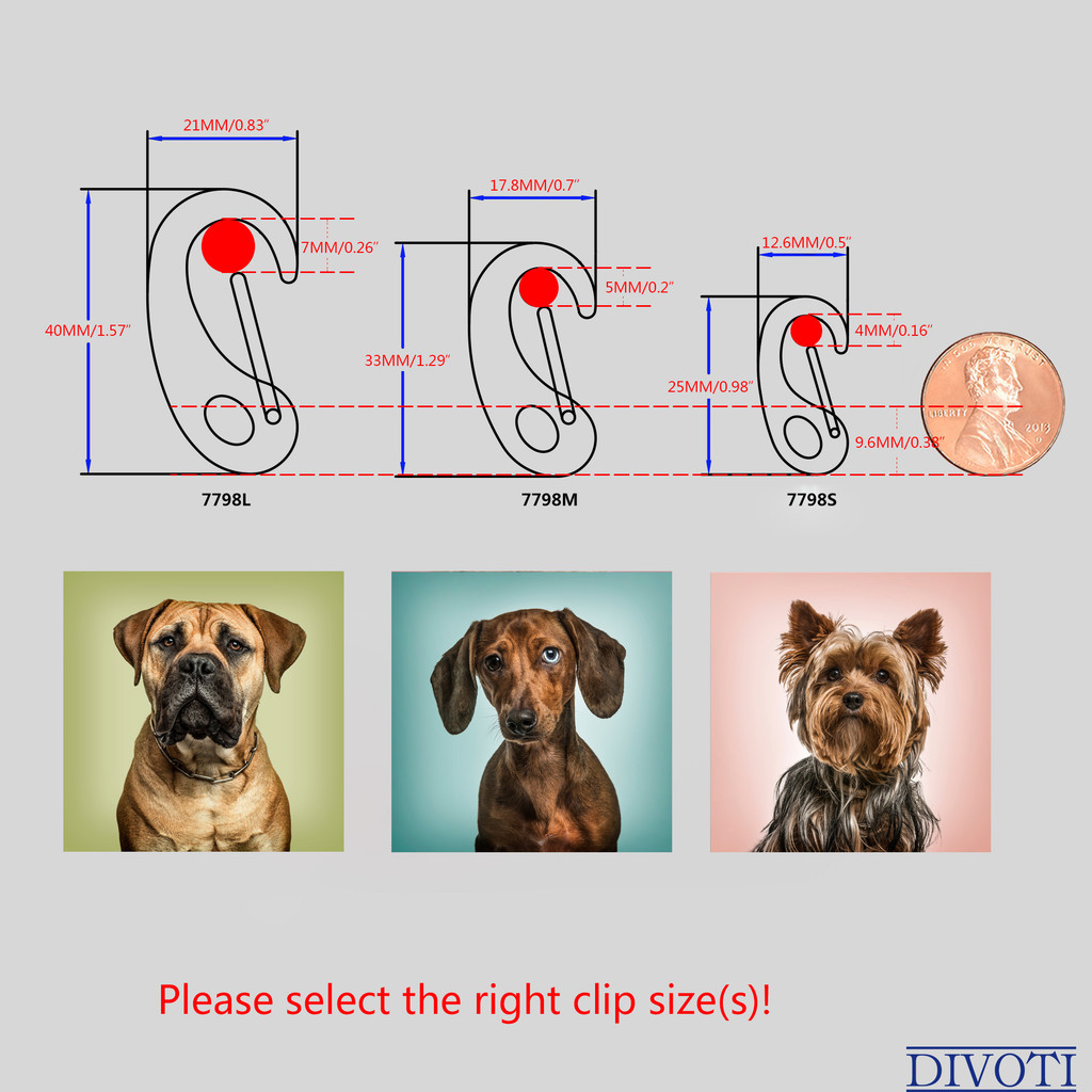 Pet ID Tag Quick Clip/Split-Load Hook Combo for Pet ID Tags- 1 Pair (2 pcs) of Medium Quick Clips w/Pack of Split Rings- Entirely Surgical Stainless Steel