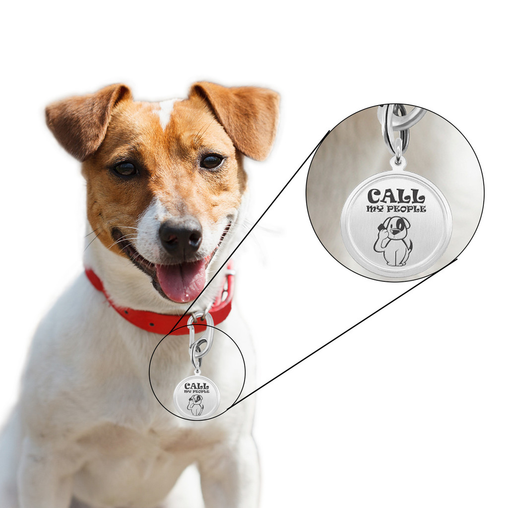 Leash King Engraved PVD Gold Pet ID Tags for Dogs - Personalized Identification Tags - Custom Name Tag w/Split Ring Pack Attachment- Made in USA- 1 OR 1.25" - LOST