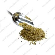 Coriander Seeds - Lebanos - 1kg