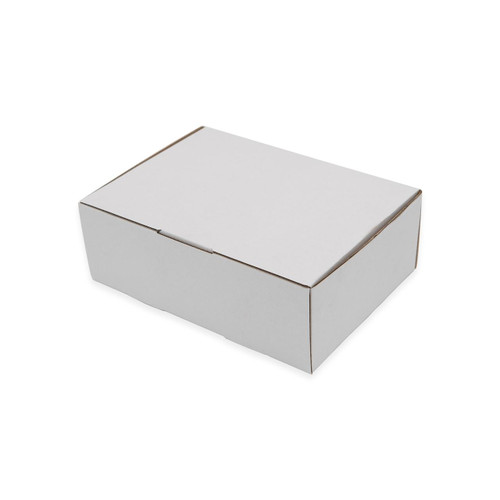 EBPAK Mailing Box 250 x 190 x 90mm Diecut Shipping Carton - Sydney Melbourne