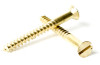 #6 Brass Slotted Flat Head Wood Screw