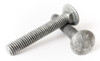 1/4-20 Galvanized Carriage Bolts