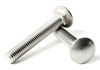 Stainless Carriage Bolts