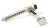 1/4" Stainless Lag Bolts