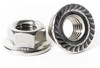 Stainless Serrated Flange Lock Nut (SAE) Fine