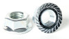 Serrated Flange Lock Nuts