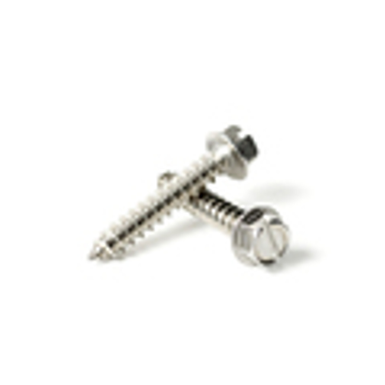 #12 SS Slotted Hex Washer Sheet Metal Screw