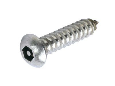 10 x 3/4 Button Head Socket Security Screw Stainless | The Nutty