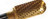 CYLINDER W/RADIUS Carbide Bur - (Champion U.S.A.) | The Nutty Company, Inc.