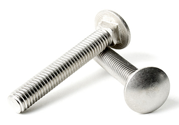 1/4-20 Stainless Carriage Bolts | The Nutty Company, Inc.