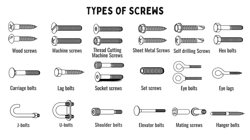 Types of Screws: A Comprehensive Guide to Choosing the Right Fastener ...