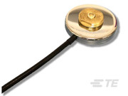 TE G8XTI: Magnetic NMO Mount with 12 Ft. RG8X Cable & TNC-Male Installed Connector 
