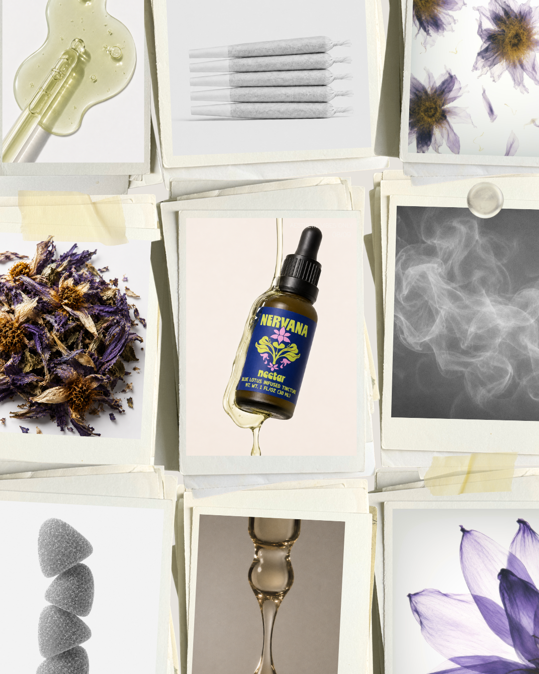 Nervana product and botanical collage