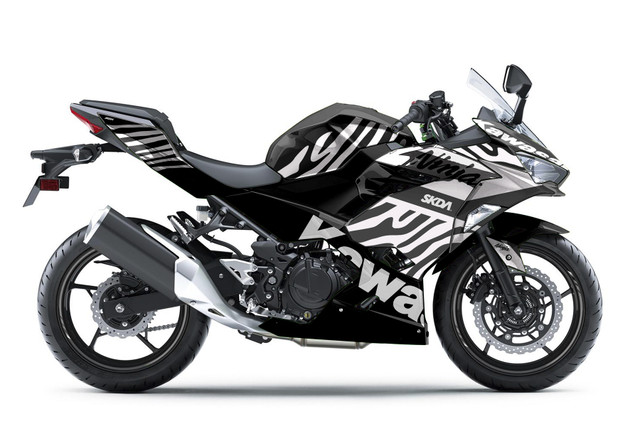 Shop by Bike - Kawasaki - Kawasaki Ninja & Z / ZX-R Models - Page 