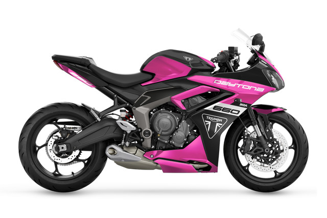 限定出品 F プロマイド TAMIYA (タミヤ) プラモデル ninja ZX-14 SPECIAL COLOR EDITION