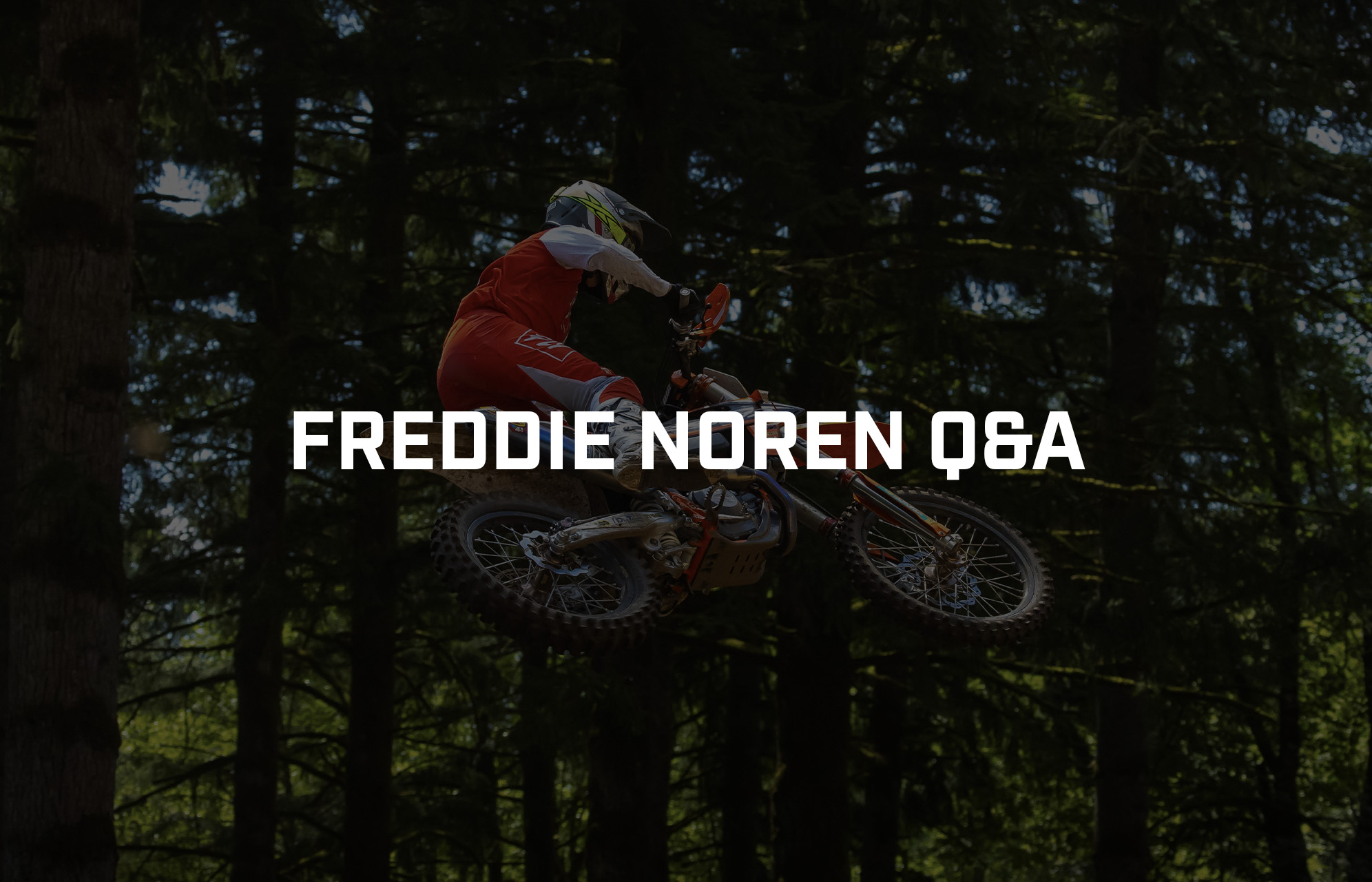 Freddie Noren Q&A