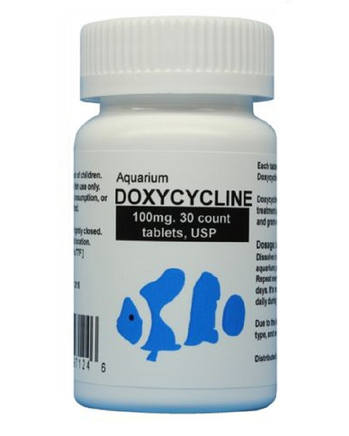 fish doxy doxycycline 100mg Tablets 30 count