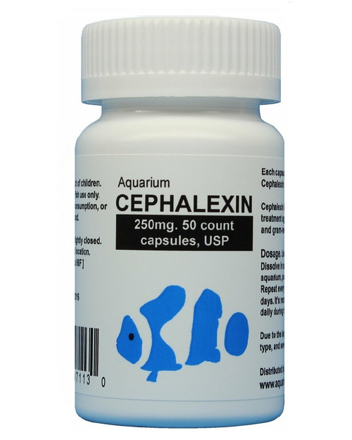 fish flex Aquarium Cephalexin 250mg 50 capsules