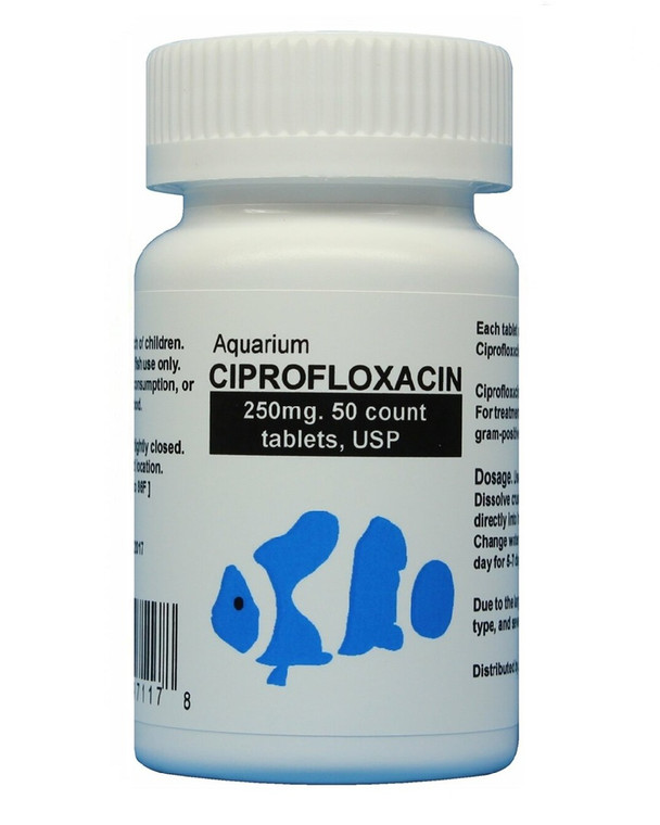 fish cipro - Aquarium Ciprofloxacin 250 mg 50 Tablets