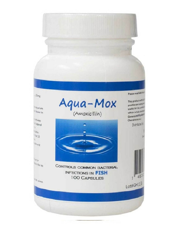 Aqua mox amoxicillin - 250mg 100 Capsules