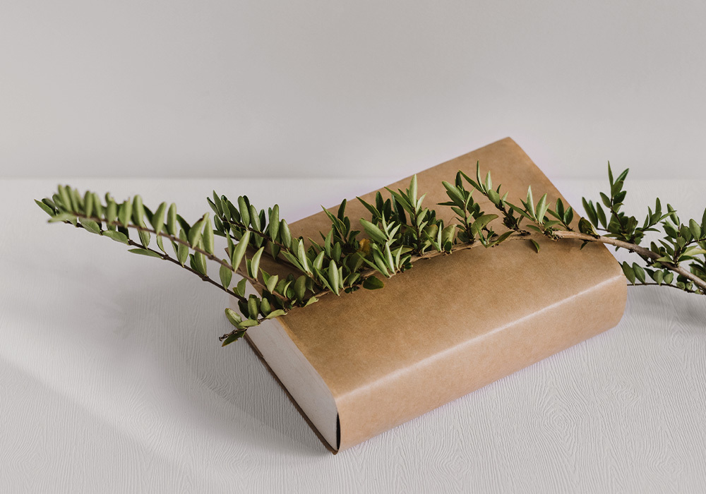 Diccionario de nombres en Farmacia Conde Duque en Olivares, Sevilla