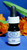 Black Cumin Carrier Oil 10 ml