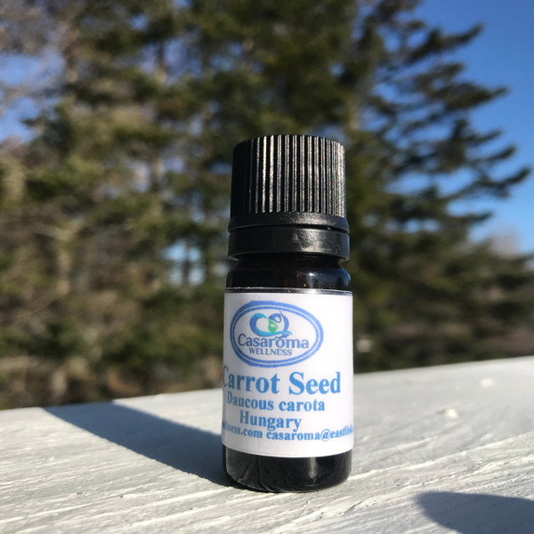 Carrot Seed Essential Oil