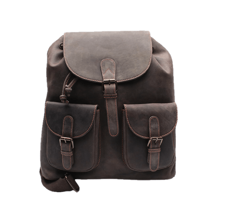 aumi 4 beetle leather backpack large size Mari which can fit a 12 laptop Blue metallic leather backpack. LeBaroudeur