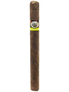 Tatiana Caribbean Chill Classic/6x44