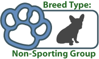 Non-sporting Dogs