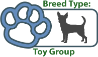 Toy Breeds