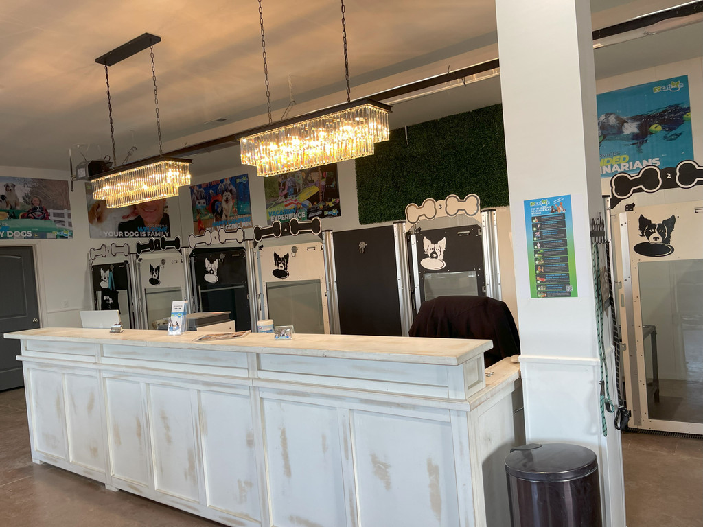 Here you can see a row of alternating black and white kennels with full-glass doors and a custom logo. They look great and also are sharp looking in this style.