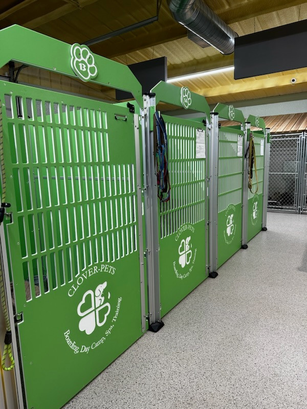 Kennel Ideas: Lime Green Dog Kennels | Clover-Pets - Gator Kennels
