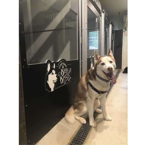 bed & biscuit kennel