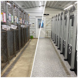 Markay's Castle of the Dogs Before and After Gator Kennels Markay's Castle of the Dogs Before and After Gator Kennels