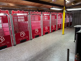 Precious Bichon Frise Custom Gator Kennels in Red Precious Bichon Frise Custom Gator Kennels in Red