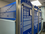 The Animal Clinic Custom Gator Kennels Gates in Royal Blue