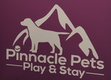Pinnacle Pets Play & Stay Custom Logo Engraved on a Purple Gator Kennels Gate Pinnacle Pets Play & Stay Custom Logo Engraved on a Purple Gator Kennels Gate