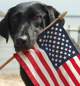PTSD Awareness Month PTSD Awareness Month