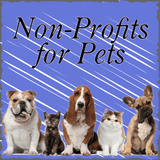 Non-Profits for Pets