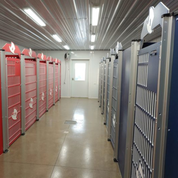 Shop for custom dog kennel gates and doors Gator Kennels