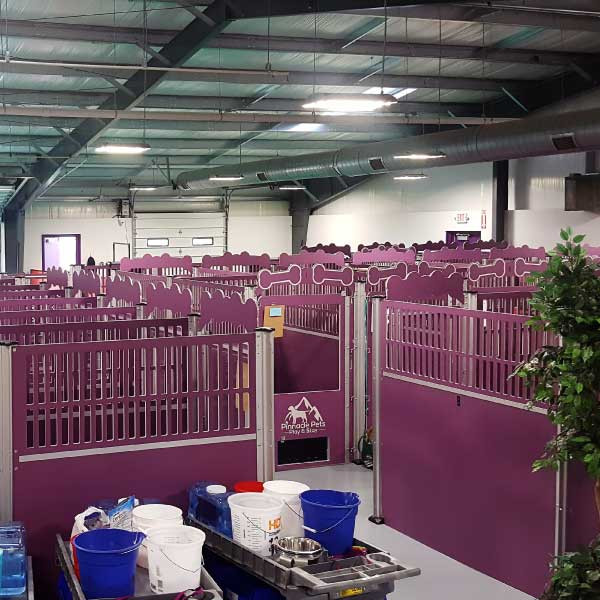 pinnacle dog kennel
