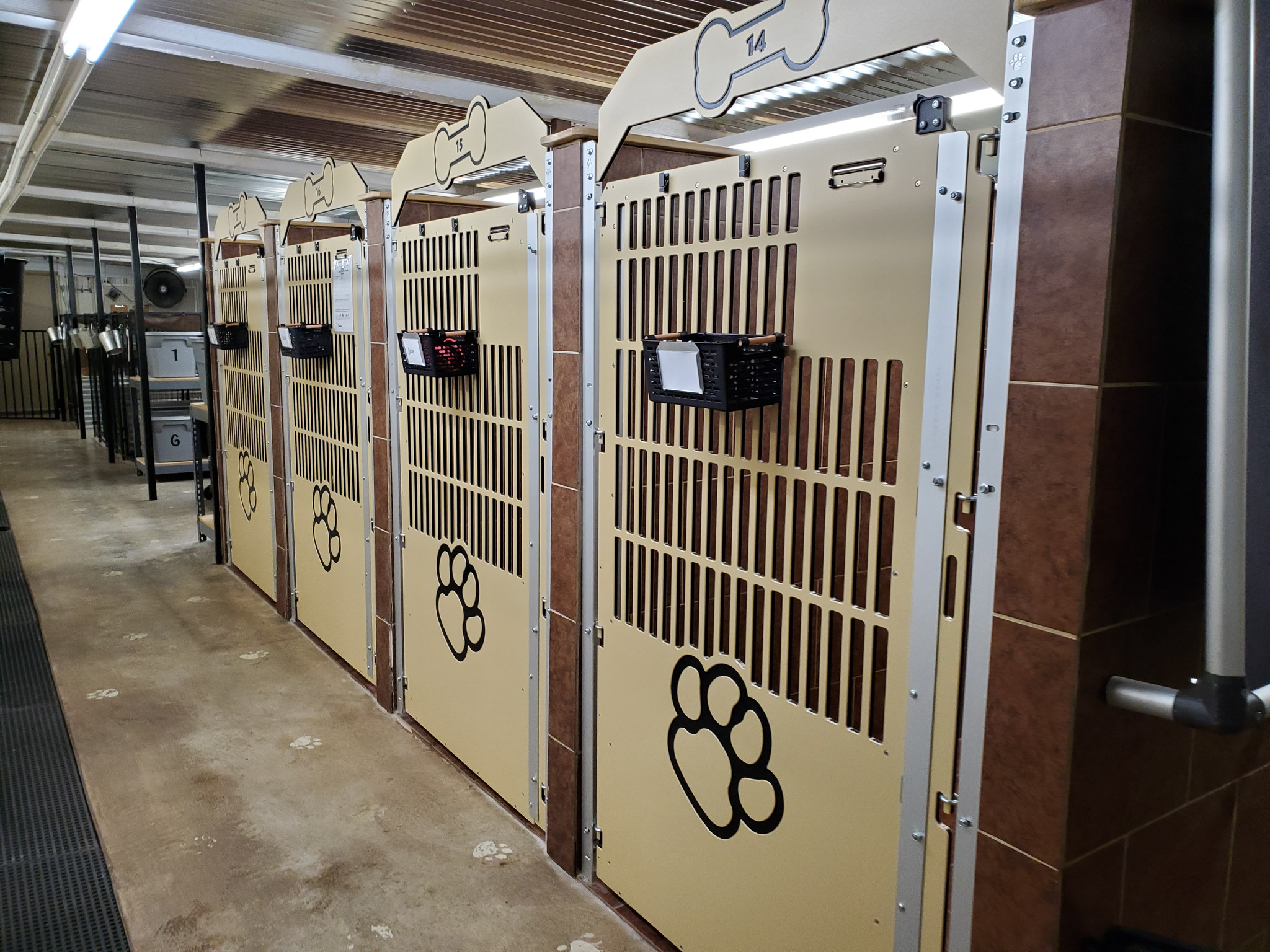 More Than Pets, Oklahoma - Gator Kennels