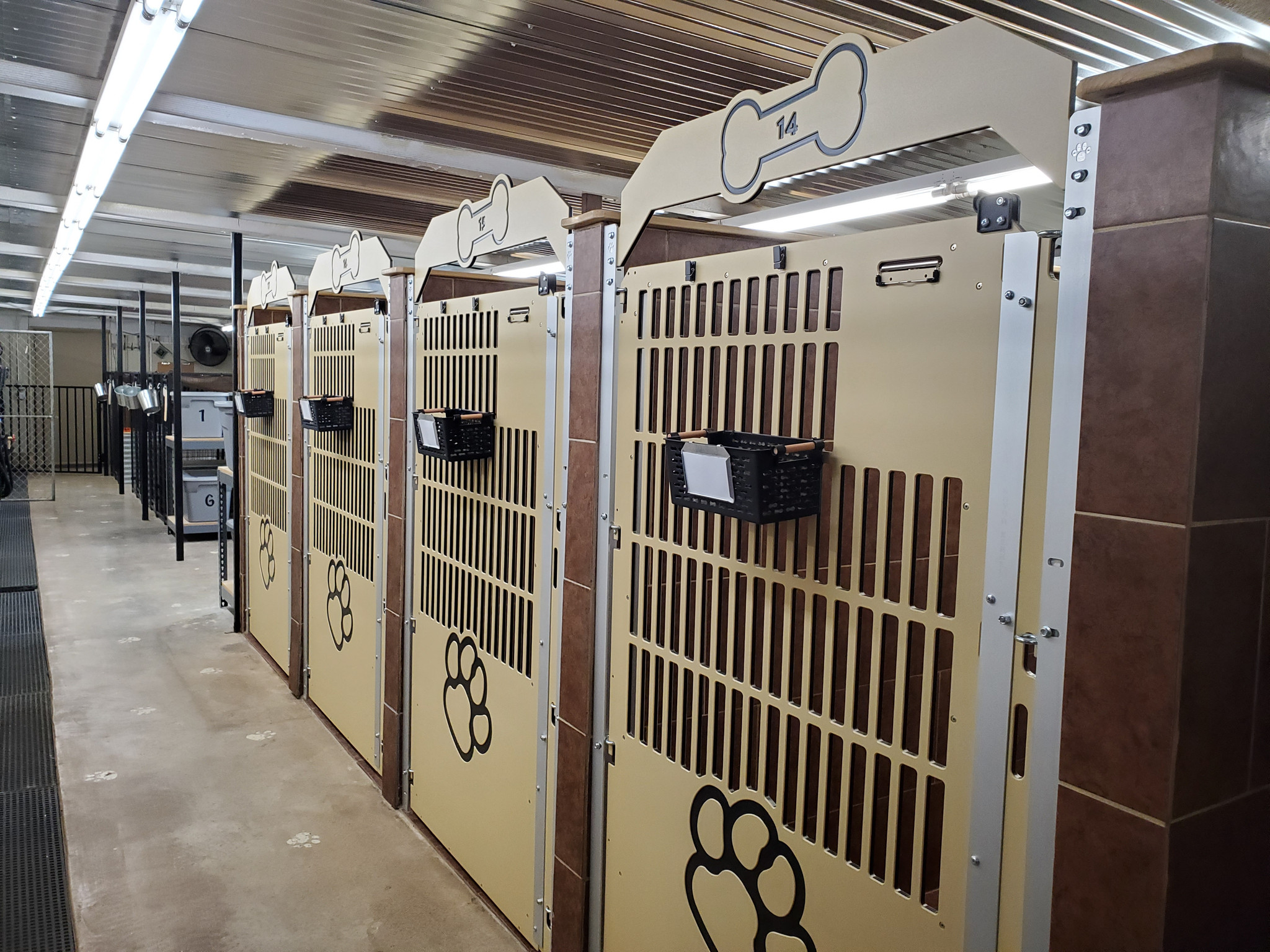 More Than Pets, Oklahoma - Gator Kennels