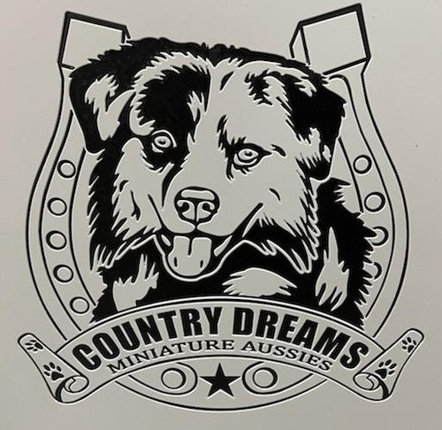 Country Dream Miniature Aussies Custom Logo Engraved on Gator Kennels Grey Gate