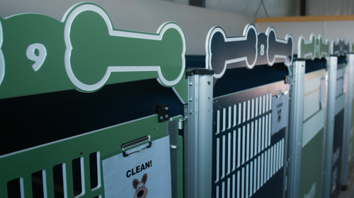 Smarter Than Your Dog Custom Gator Kennels in Lime Green and Navy Blue