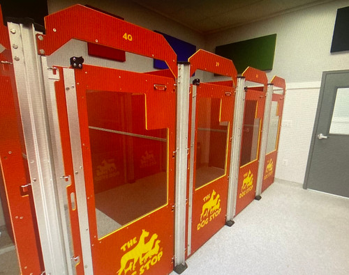 The Dog Stop Custom Gator Kennels in Red/Yellow