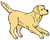 Arkgold Golden Retrievers Custom Logo