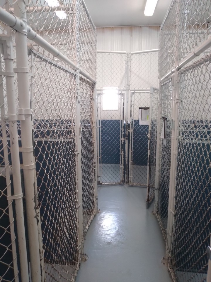 Seven Oaks Veterinary Clinic, Indiana Gator Kennels Custom Dog Kennels