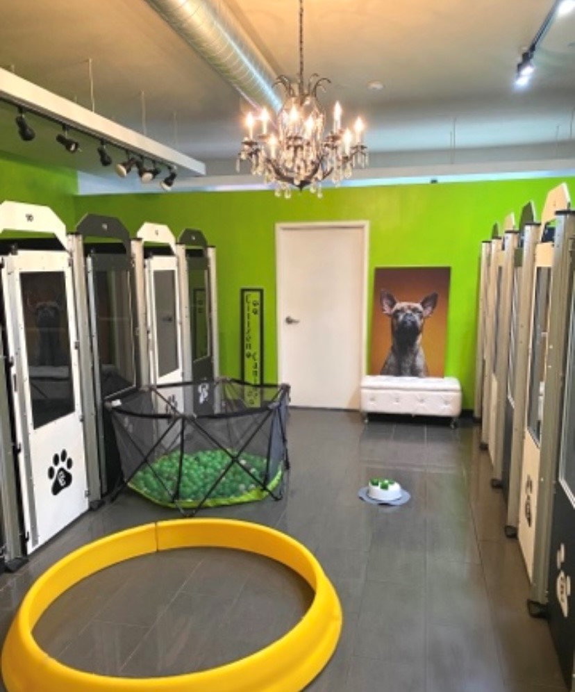 Citizen Canine, Illinois Gator Kennels Custom Dog Kennels